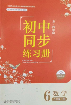 北京師范大學(xué)出版社2023初中同步練習(xí)冊(cè)六年級(jí)數(shù)學(xué)下冊(cè)魯教版五四制參考答案