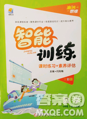 陽光出版社2023激活思維智能訓(xùn)練六年級(jí)下冊(cè)數(shù)學(xué)人教版參考答案