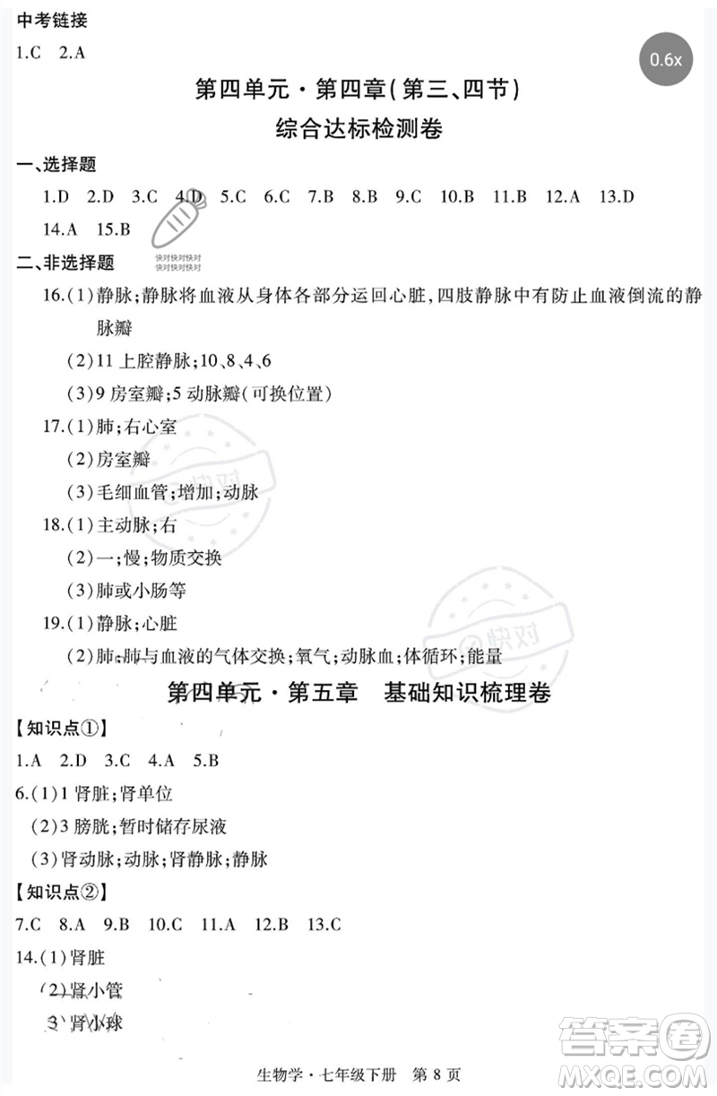 明天出版社2023初中同步練習(xí)冊(cè)自主測(cè)試卷七年級(jí)生物下冊(cè)人教版參考答案