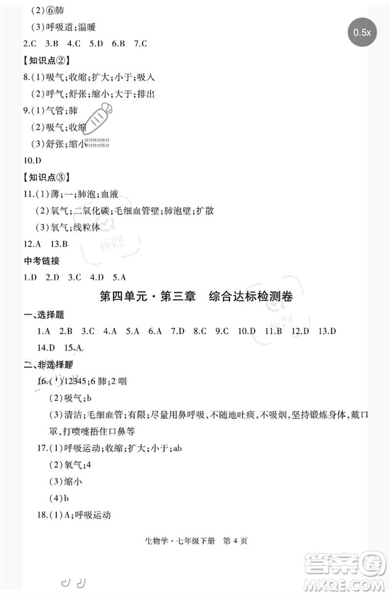 明天出版社2023初中同步練習(xí)冊(cè)自主測(cè)試卷七年級(jí)生物下冊(cè)人教版參考答案