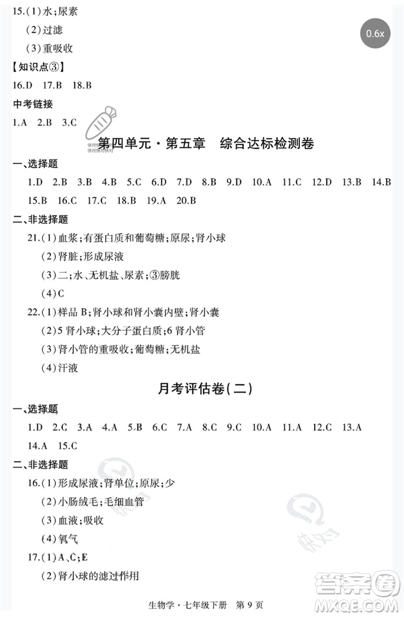 明天出版社2023初中同步練習(xí)冊(cè)自主測(cè)試卷七年級(jí)生物下冊(cè)人教版參考答案