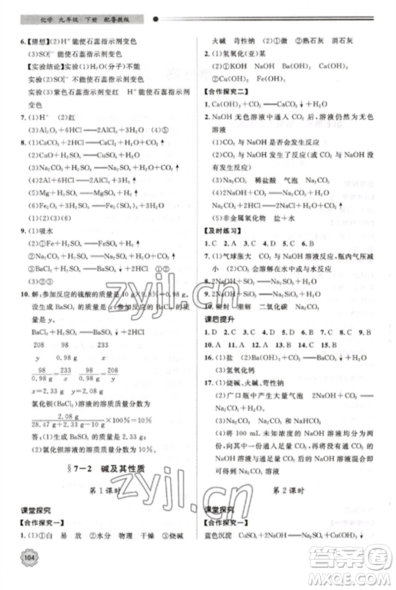 明天出版社2023初中同步練習(xí)冊(cè)九年級(jí)化學(xué)下冊(cè)魯教版參考答案