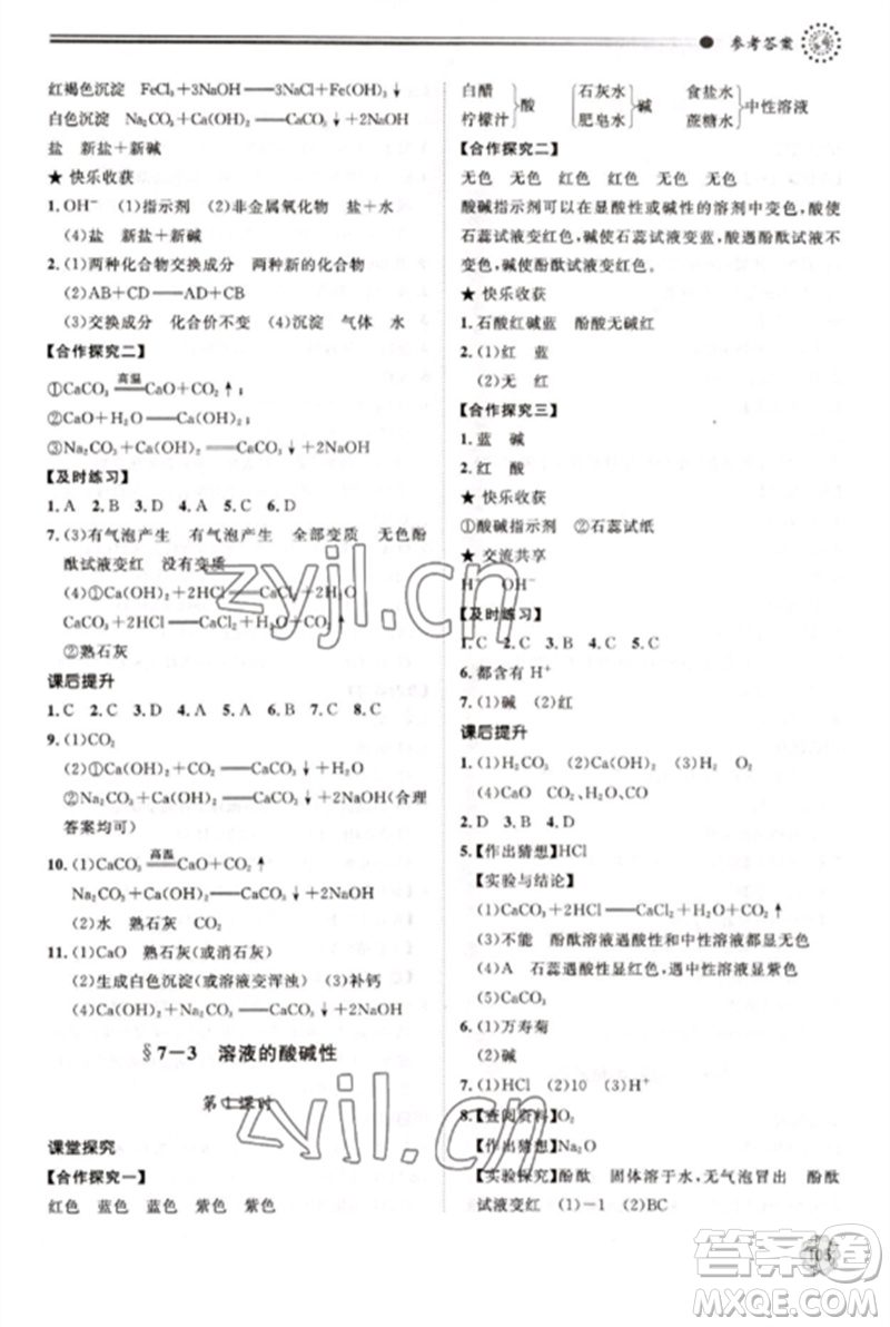 明天出版社2023初中同步練習(xí)冊(cè)九年級(jí)化學(xué)下冊(cè)魯教版參考答案