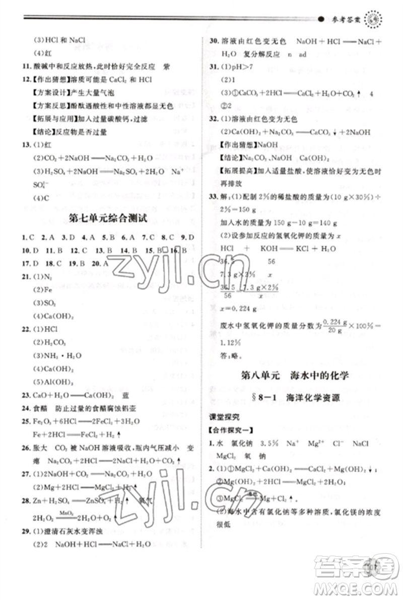 明天出版社2023初中同步練習(xí)冊(cè)九年級(jí)化學(xué)下冊(cè)魯教版參考答案