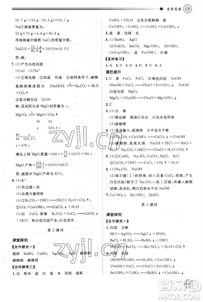 明天出版社2023初中同步練習(xí)冊(cè)九年級(jí)化學(xué)下冊(cè)魯教版參考答案