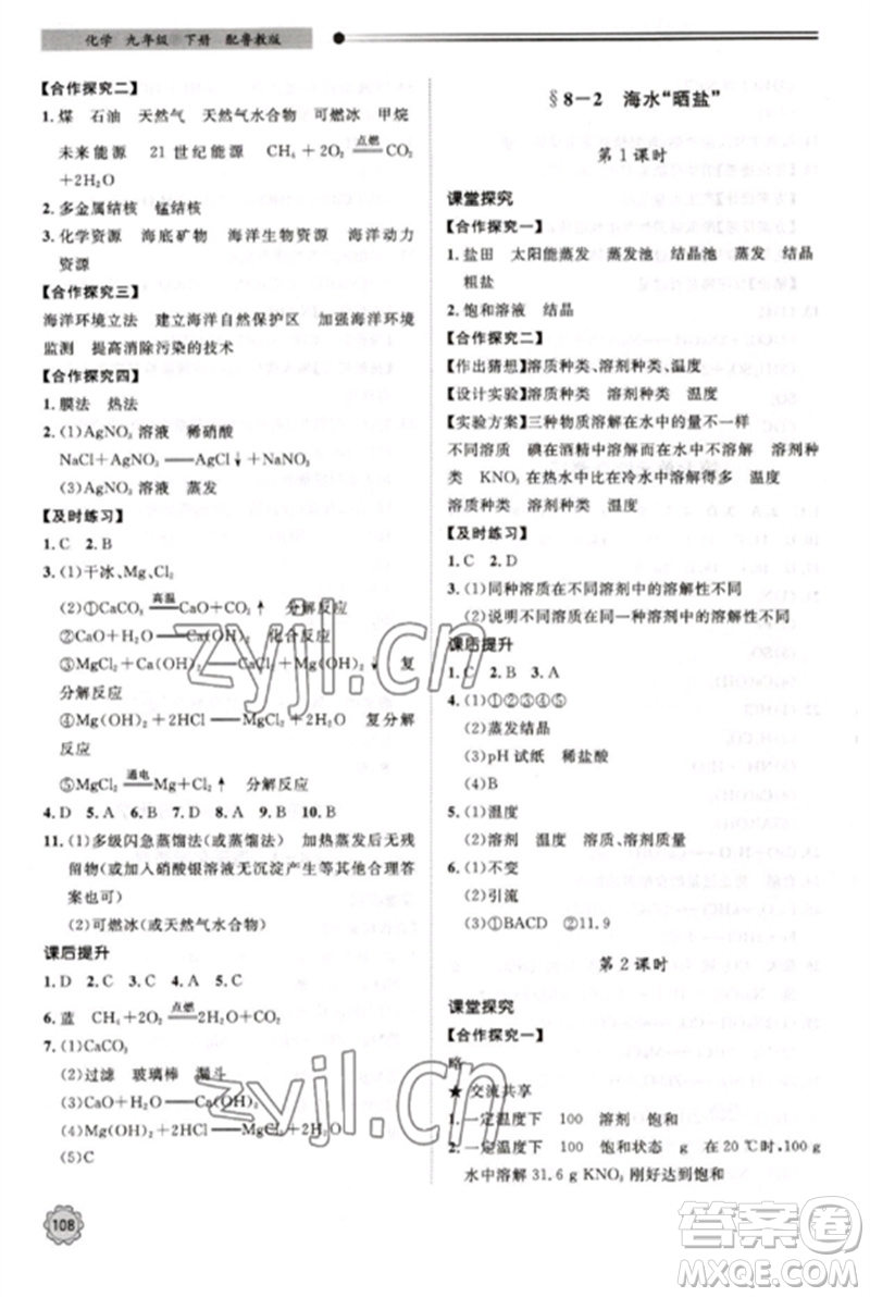 明天出版社2023初中同步練習(xí)冊(cè)九年級(jí)化學(xué)下冊(cè)魯教版參考答案