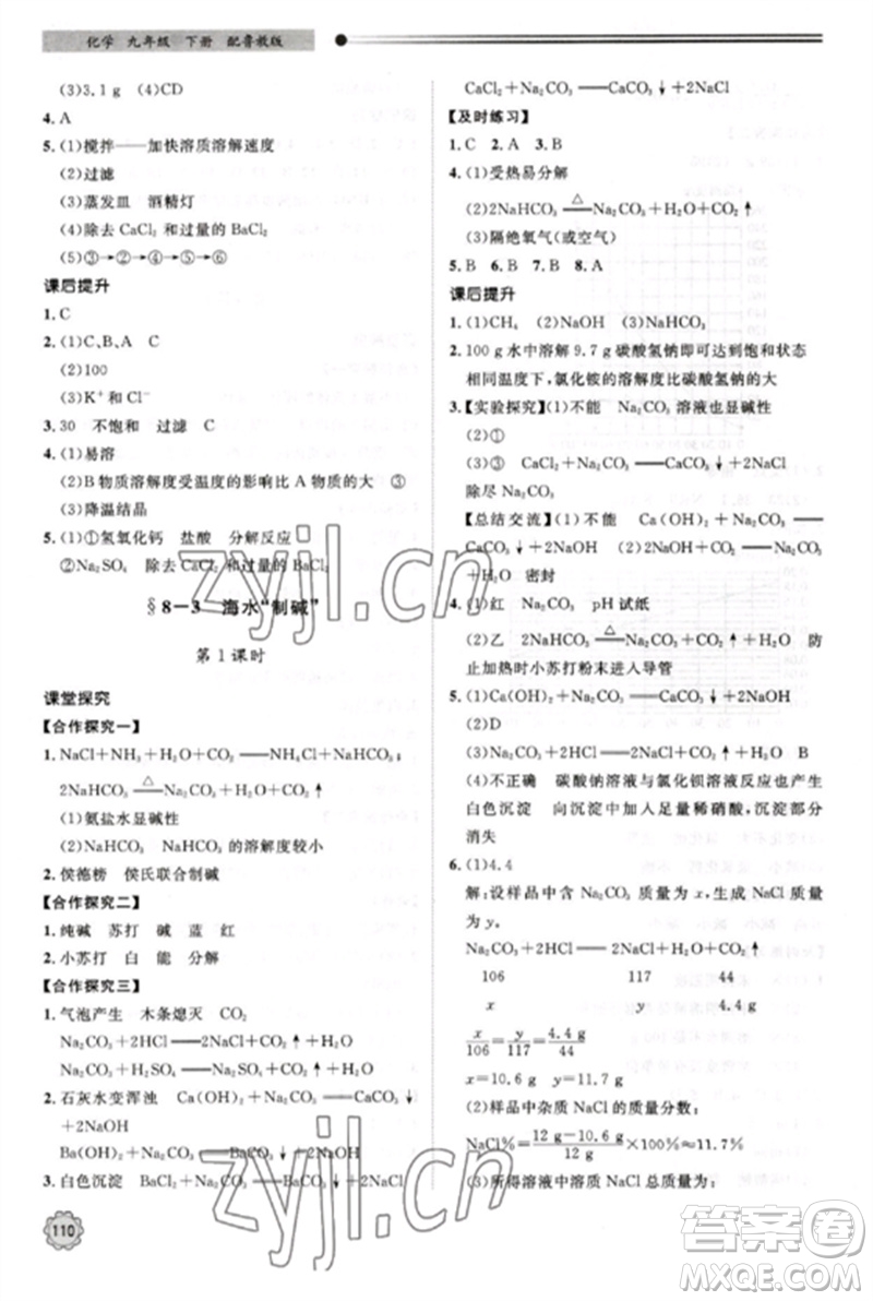 明天出版社2023初中同步練習(xí)冊(cè)九年級(jí)化學(xué)下冊(cè)魯教版參考答案