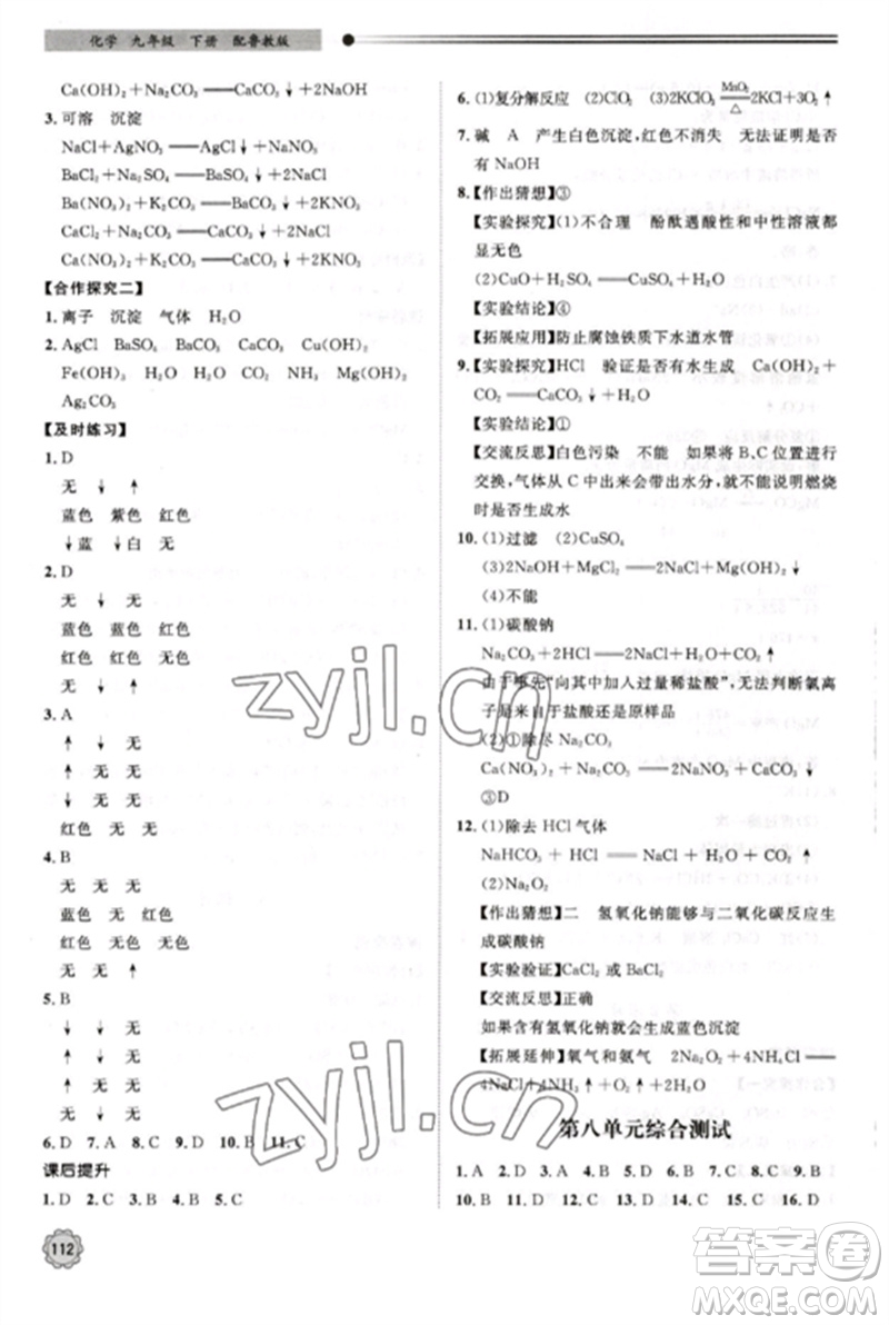 明天出版社2023初中同步練習(xí)冊(cè)九年級(jí)化學(xué)下冊(cè)魯教版參考答案