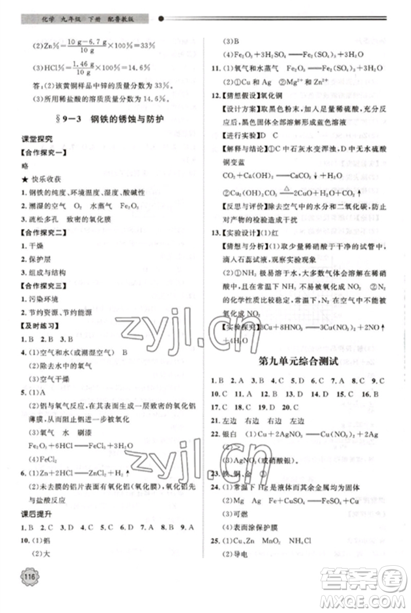 明天出版社2023初中同步練習(xí)冊(cè)九年級(jí)化學(xué)下冊(cè)魯教版參考答案