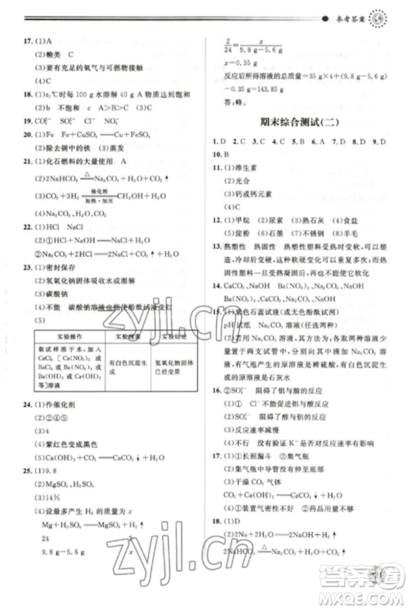 明天出版社2023初中同步練習(xí)冊(cè)九年級(jí)化學(xué)下冊(cè)魯教版參考答案