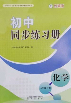 明天出版社2023初中同步練習(xí)冊(cè)九年級(jí)化學(xué)下冊(cè)魯教版參考答案