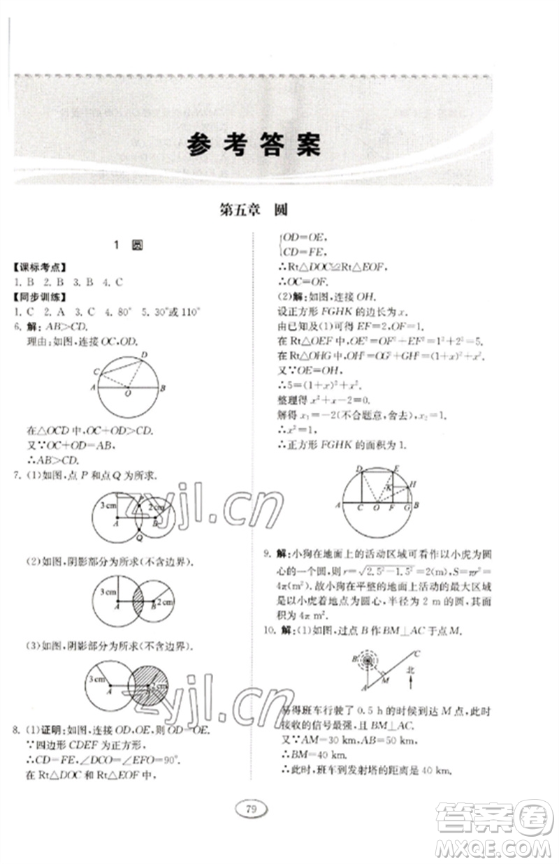 山東科學(xué)技術(shù)出版社2023初中同步練習(xí)冊(cè)九年級(jí)數(shù)學(xué)下冊(cè)魯教版五四制參考答案