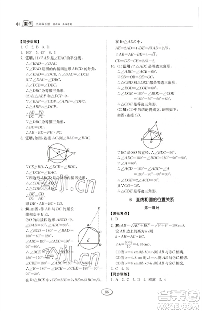 山東科學(xué)技術(shù)出版社2023初中同步練習(xí)冊(cè)九年級(jí)數(shù)學(xué)下冊(cè)魯教版五四制參考答案