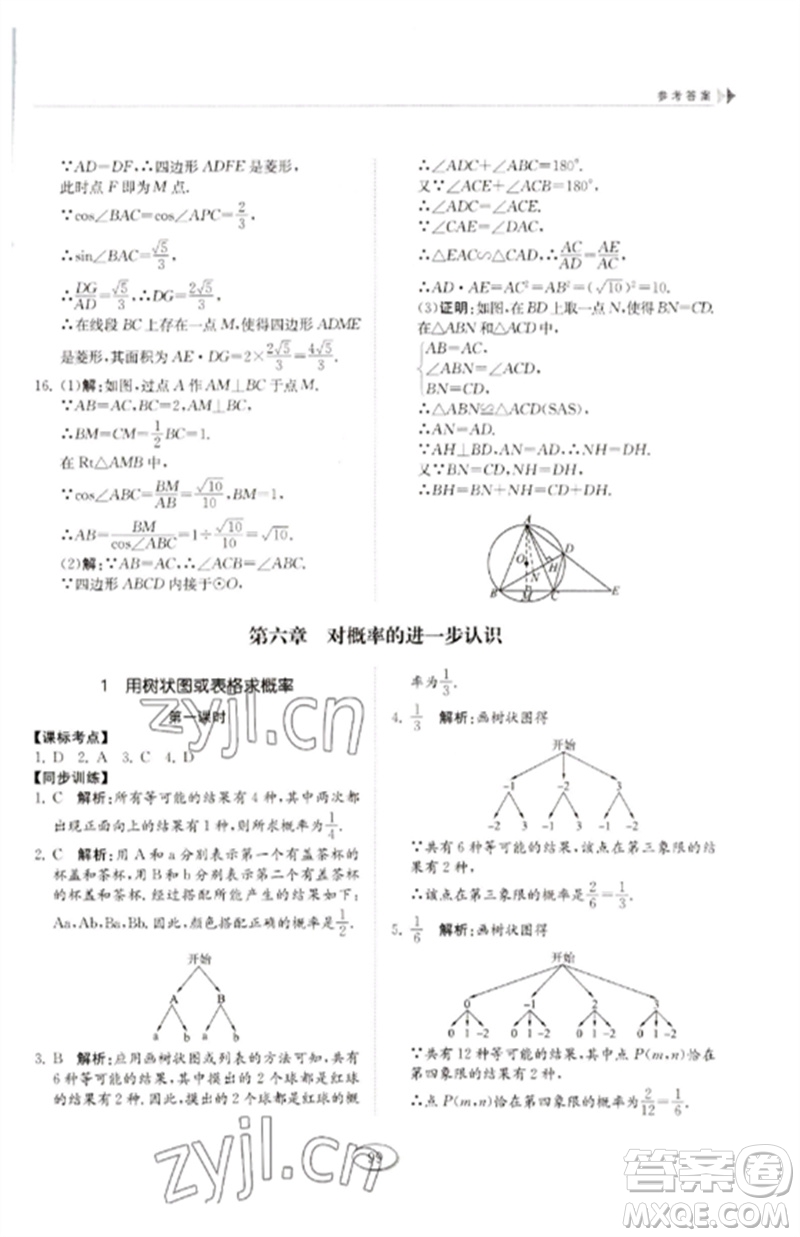 山東科學(xué)技術(shù)出版社2023初中同步練習(xí)冊(cè)九年級(jí)數(shù)學(xué)下冊(cè)魯教版五四制參考答案