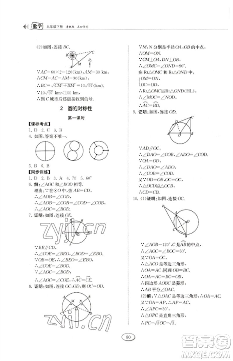 山東科學(xué)技術(shù)出版社2023初中同步練習(xí)冊(cè)九年級(jí)數(shù)學(xué)下冊(cè)魯教版五四制參考答案