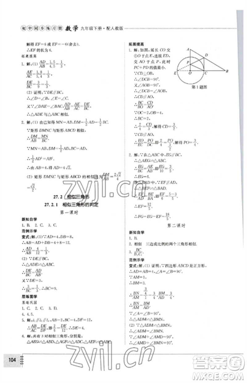 山東教育出版社2023初中同步練習(xí)冊九年級數(shù)學(xué)下冊人教版參考答案