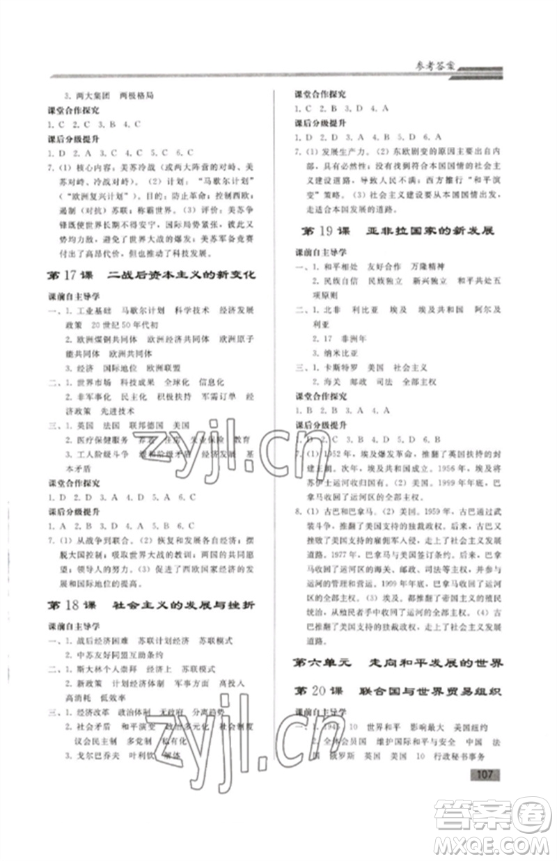 人民教育出版社2023初中同步練習(xí)冊九年級世界歷史下冊人教版參考答案