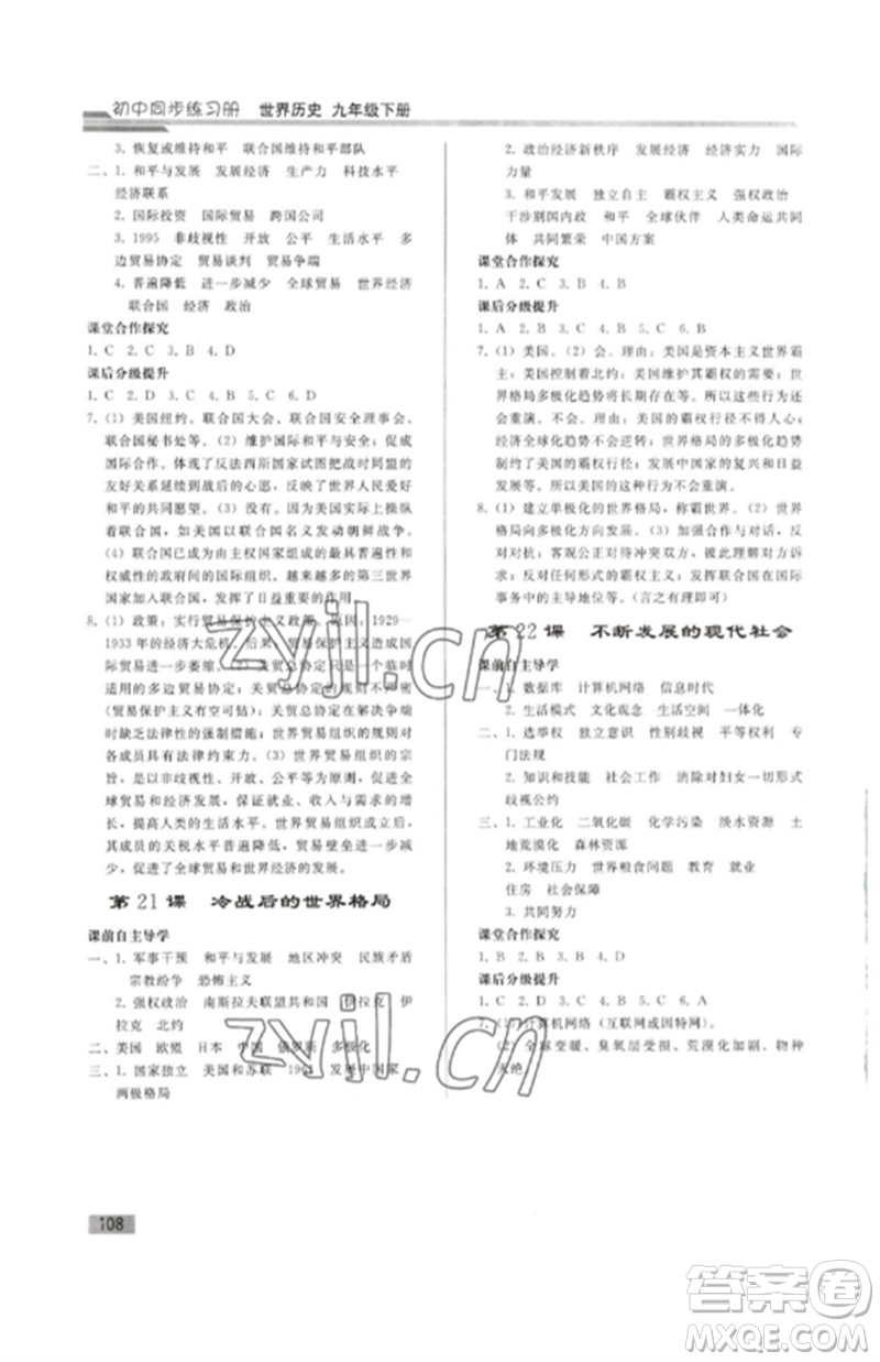 人民教育出版社2023初中同步練習(xí)冊九年級世界歷史下冊人教版參考答案