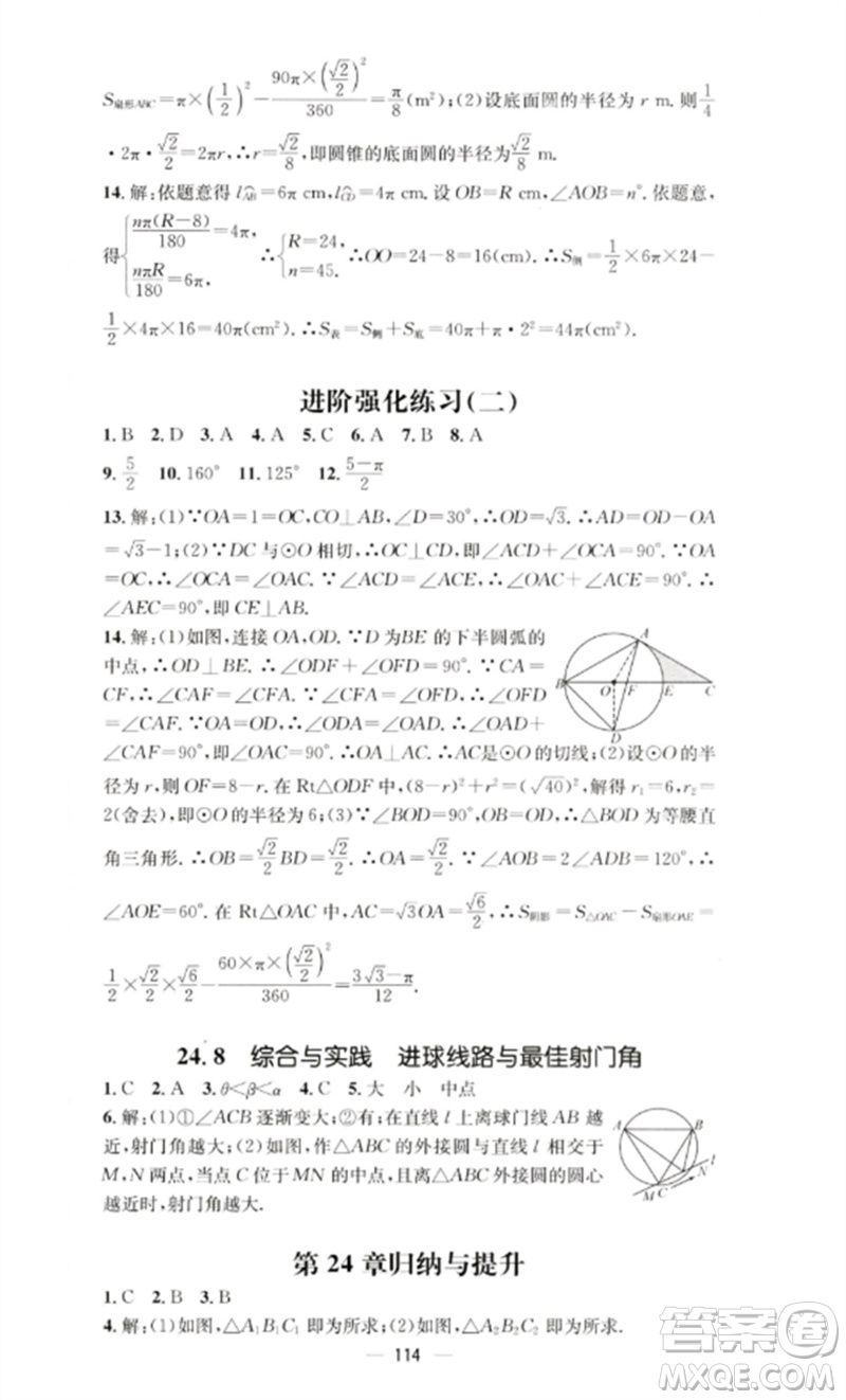 陽光教育出版社2023精英新課堂九年級數(shù)學(xué)下冊滬科版參考答案