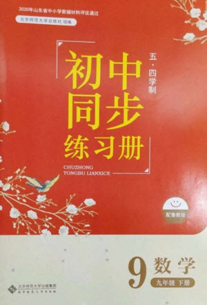 北京師范大學出版社2023初中同步練習冊九年級數(shù)學下冊魯教版五四制參考答案