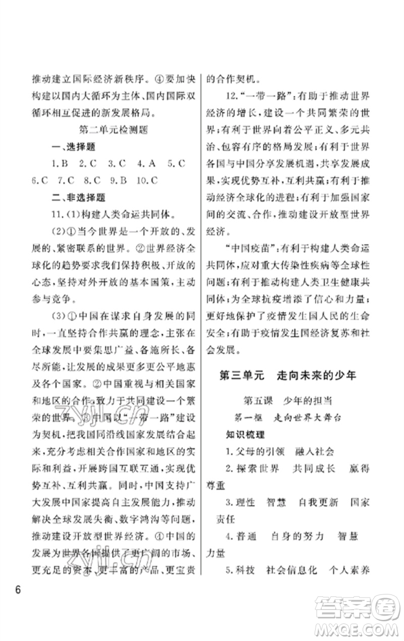 武漢出版社2023智慧學(xué)習(xí)天天向上課堂作業(yè)九年級(jí)道德與法治下冊(cè)人教版參考答案