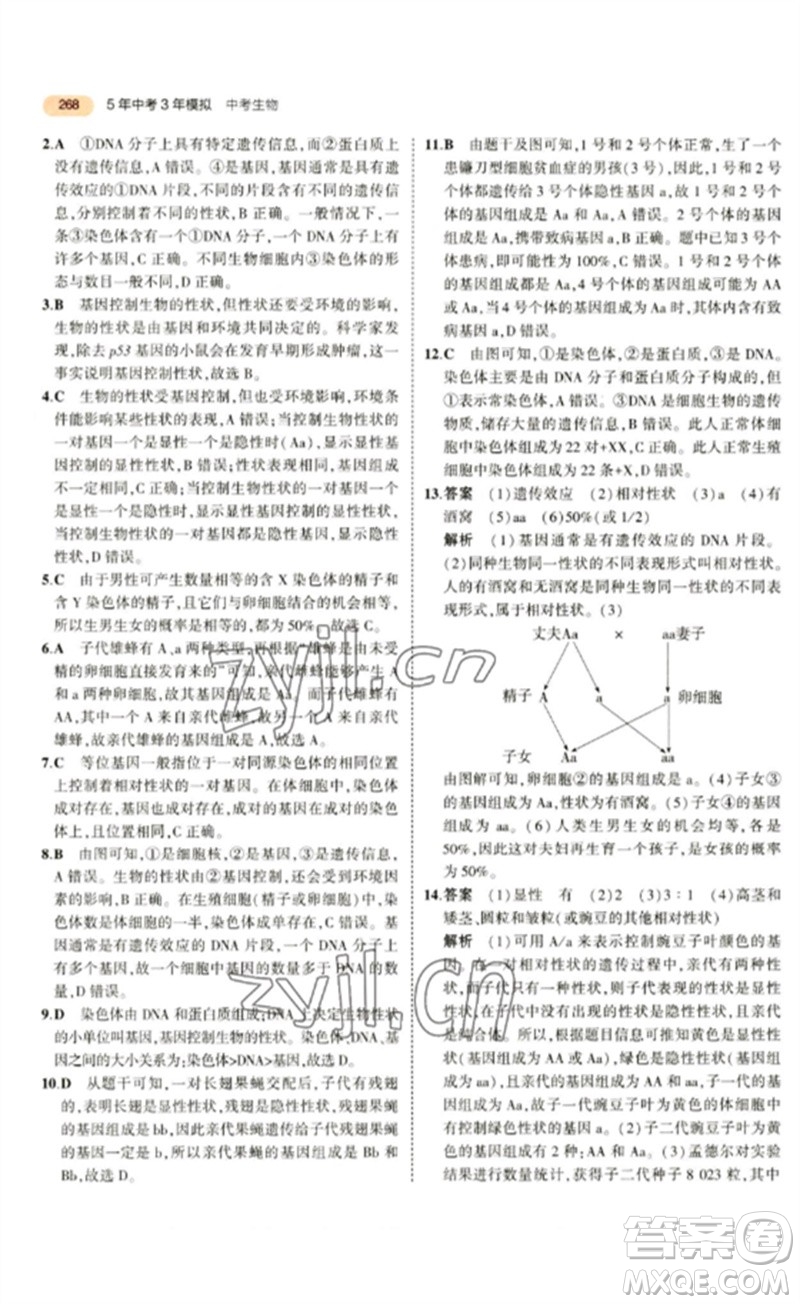 教育科學出版社2023年5年中考3年模擬九年級生物通用版參考答案