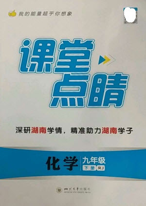 四川大學出版社2023課堂點睛九年級化學下冊人教版湖南專版參考答案