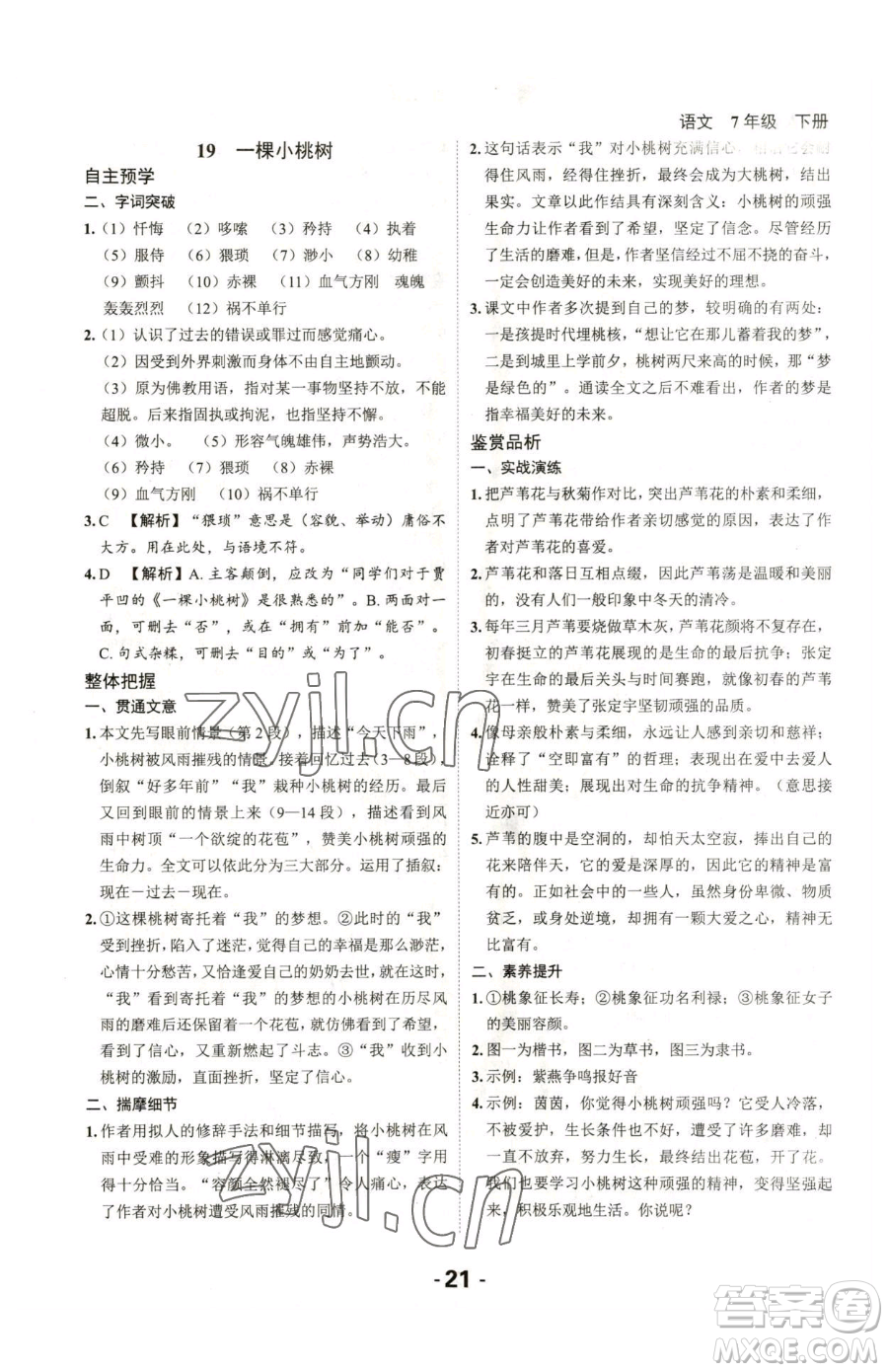 延邊大學(xué)出版社2023全程突破七年級下冊語文人教版參考答案