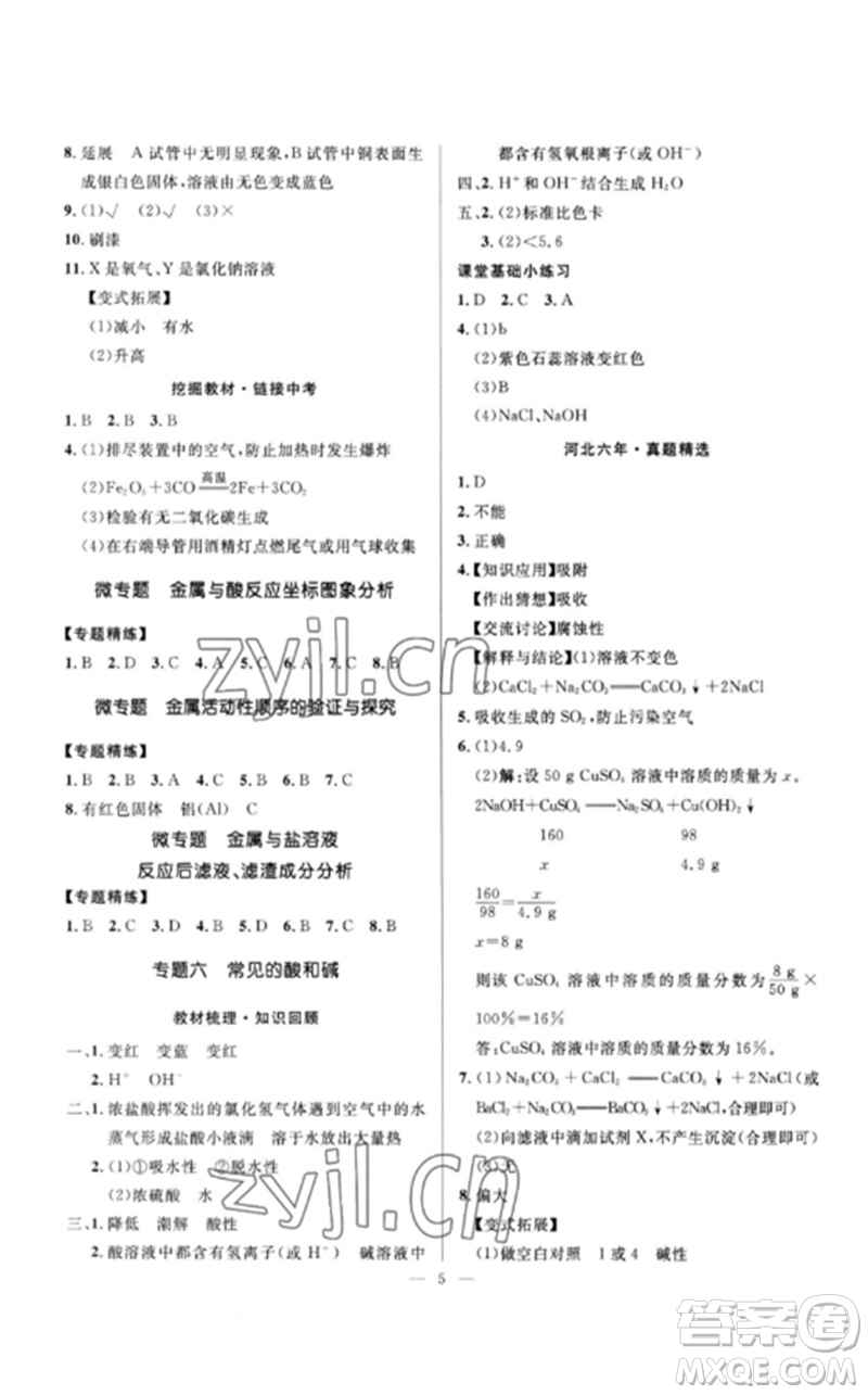 河北少年兒童出版社2023奪冠百分百中考沖刺九年級(jí)化學(xué)精講冊(cè)通用版河北專版參考答案