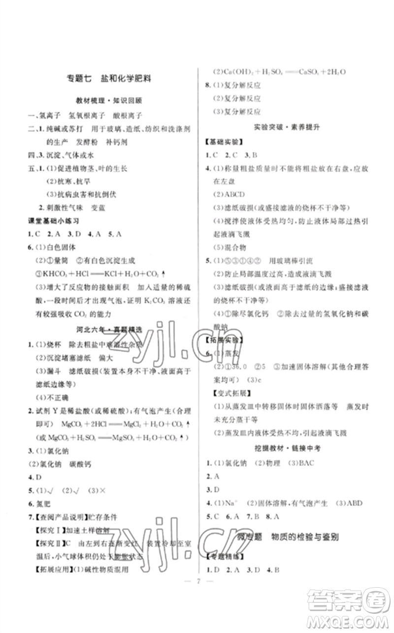 河北少年兒童出版社2023奪冠百分百中考沖刺九年級(jí)化學(xué)精講冊(cè)通用版河北專版參考答案