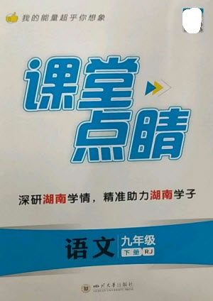 四川大學(xué)出版社2023課堂點(diǎn)睛九年級(jí)語文下冊(cè)人教版湖南專版參考答案