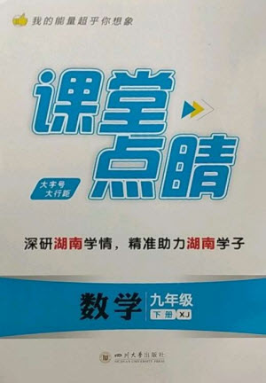 四川大學出版社2023課堂點睛九年級數學下冊湘教版參考答案