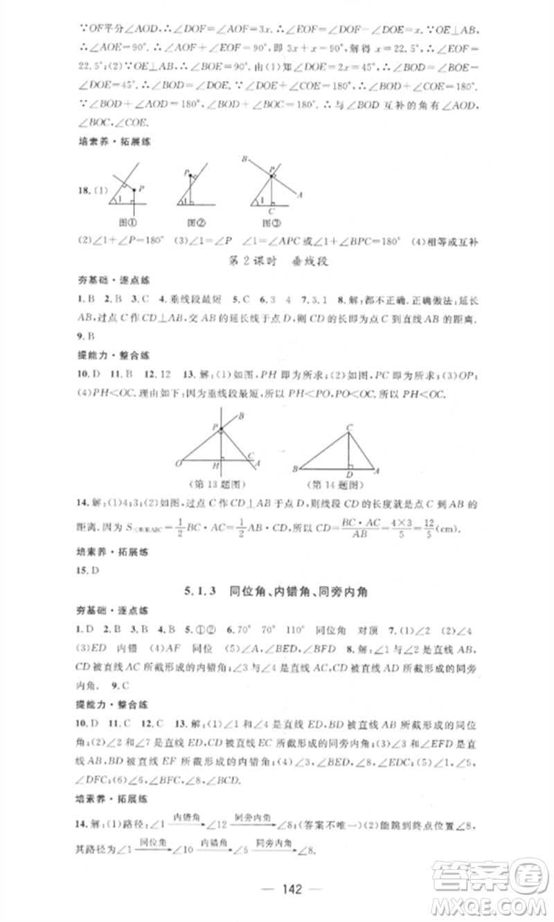 江西教育出版社2023精英新課堂三點分層作業(yè)七年級數(shù)學下冊人教版參考答案