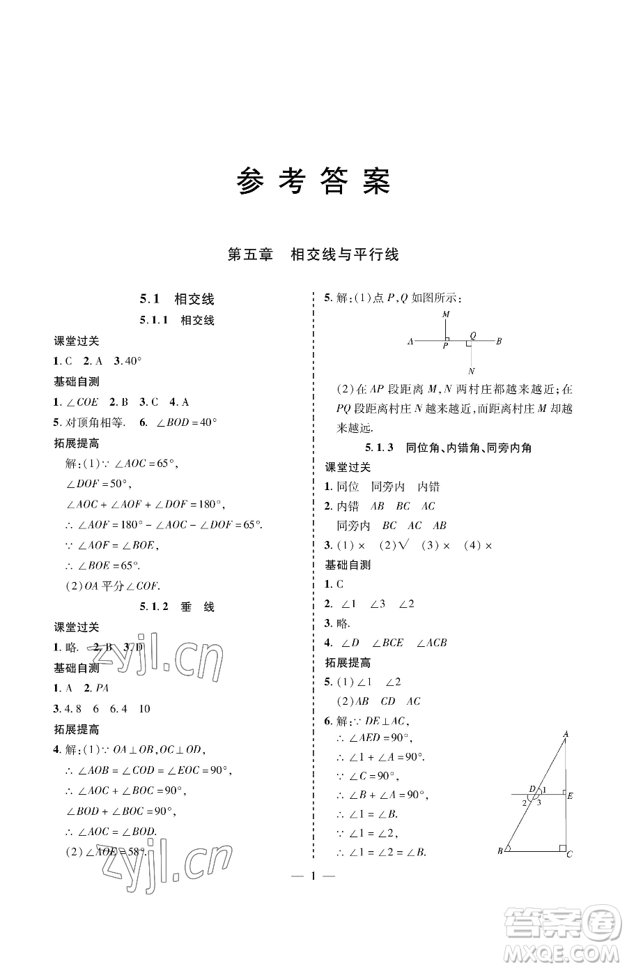 青島出版社2023新課堂同步學習與探究七年級下冊數(shù)學人教版金鄉(xiāng)專版參考答案