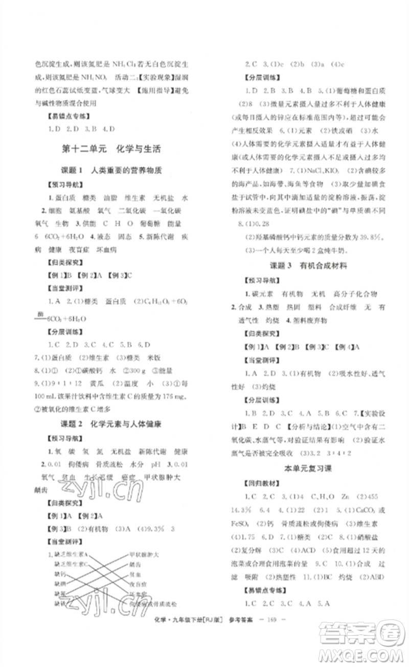 北京時代華文書局2023全效學(xué)習(xí)學(xué)業(yè)評價方案九年級化學(xué)下冊人教版參考答案