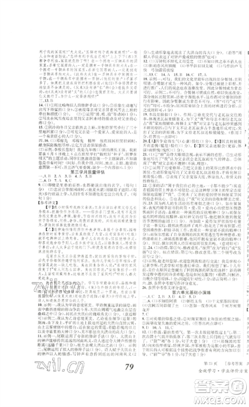 北京時代華文書局2023全效學(xué)習(xí)學(xué)業(yè)評價方案九年級語文下冊人教版參考答案