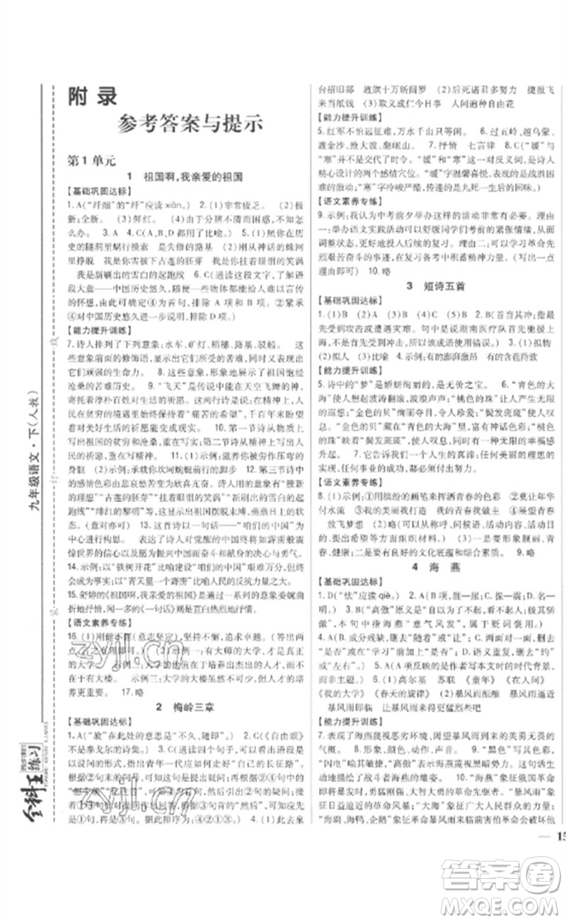 吉林人民出版社2023全科王同步課時(shí)練習(xí)九年級(jí)語(yǔ)文下冊(cè)人教版參考答案