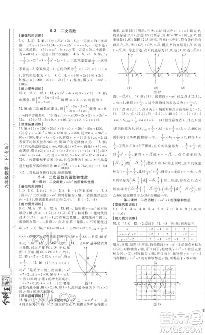 吉林人民出版社2023全科王同步課時練習九年級數學下冊青島版參考答案