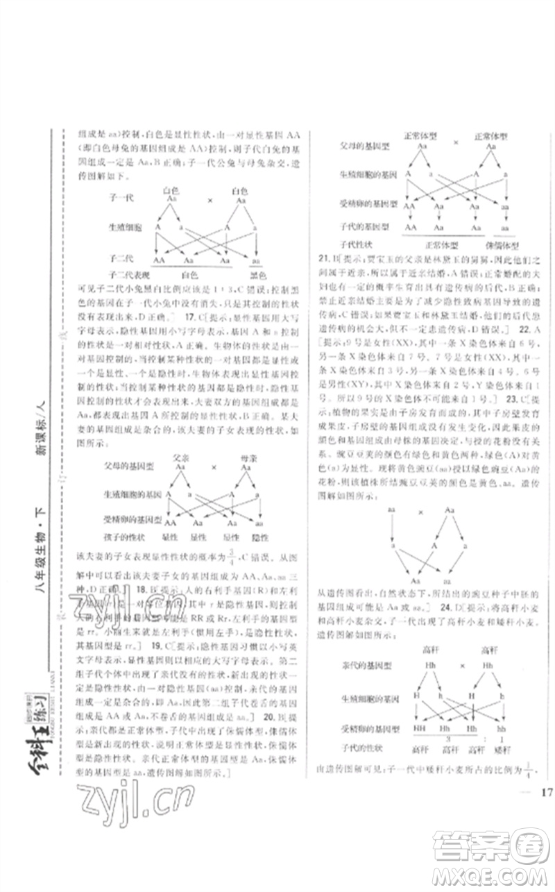 吉林人民出版社2023全科王同步課時練習八年級生物下冊人教版參考答案