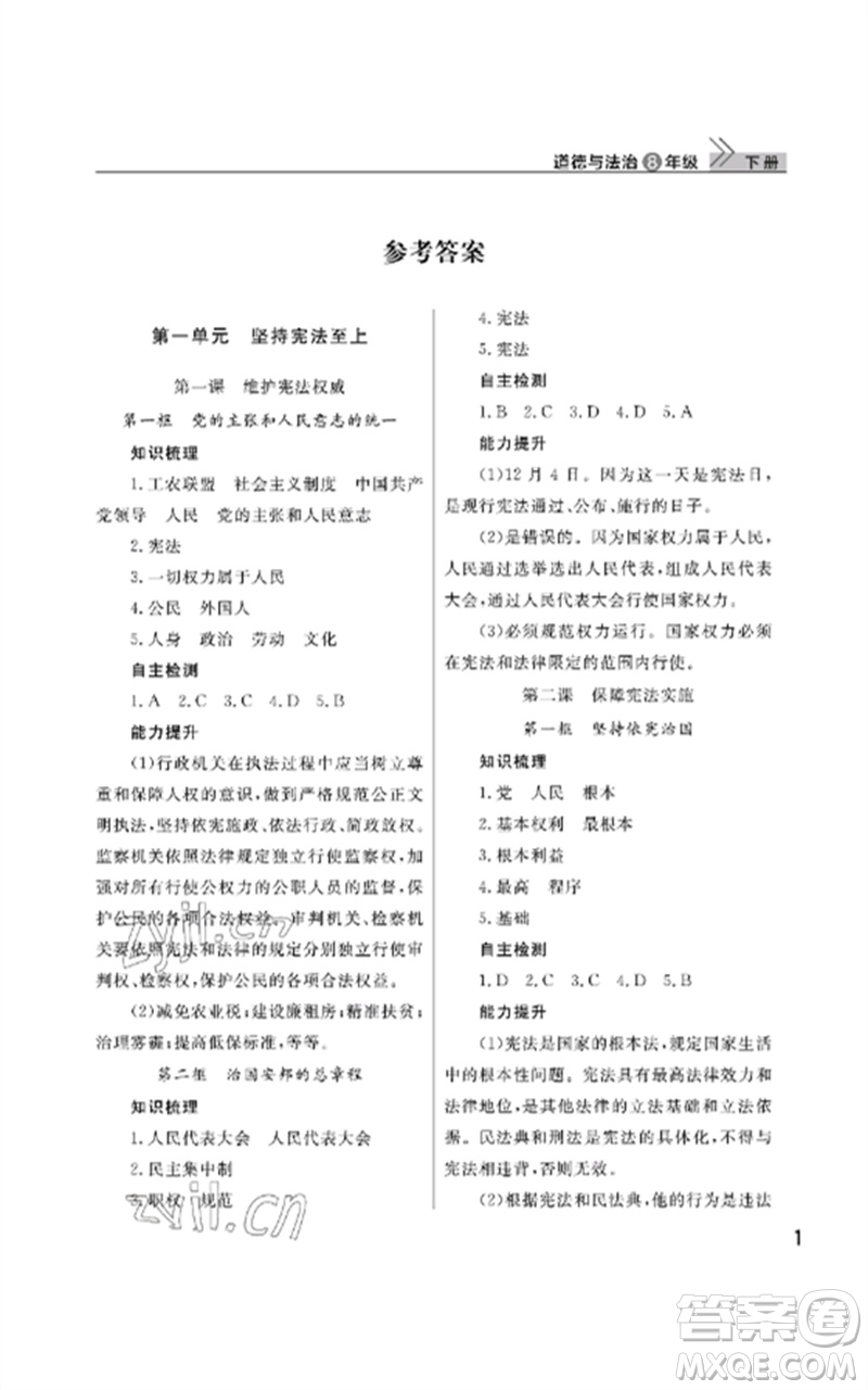 武漢出版社2023智慧學習天天向上課堂作業(yè)八年級道德與法治下冊人教版參考答案