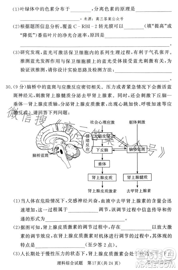 湘豫名校聯(lián)考2023年5月高三第三次模擬考試理科綜合試卷答案