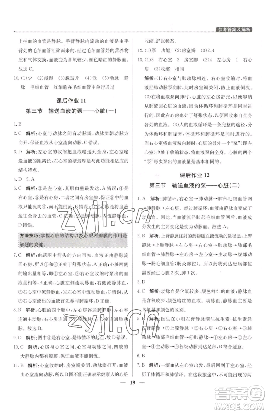 北京教育出版社2023提分教練優(yōu)學(xué)導(dǎo)練測七年級下冊生物人教版東莞專版參考答案