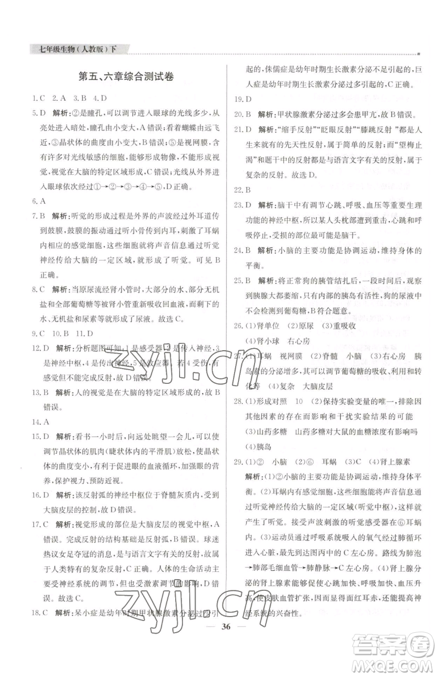 北京教育出版社2023提分教練優(yōu)學(xué)導(dǎo)練測七年級下冊生物人教版東莞專版參考答案