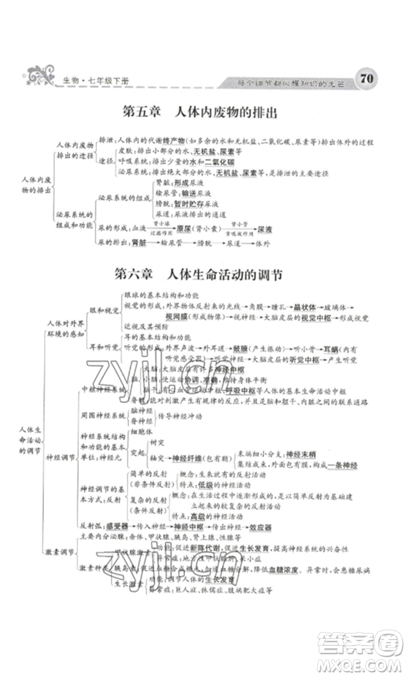 四川大學(xué)出版社2023課堂點睛七年級生物下冊人教版參考答案