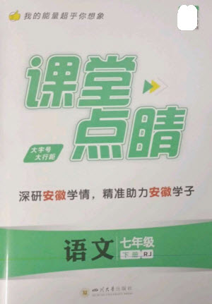 四川大學(xué)出版社2023課堂點(diǎn)睛七年級(jí)語文下冊人教版安徽專版參考答案