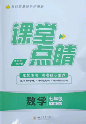 四川大學(xué)出版社2023課堂點(diǎn)睛七年級(jí)數(shù)學(xué)下冊(cè)湘教版參考答案