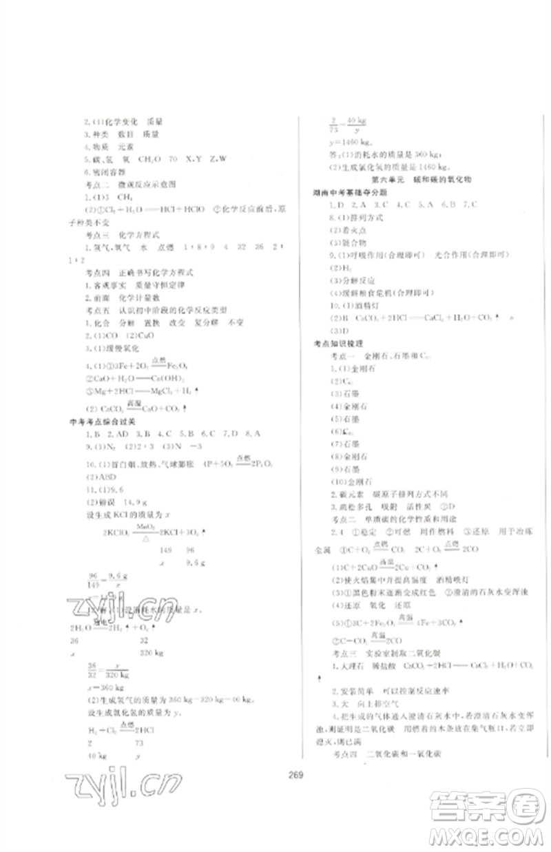 延邊大學出版社2023中考先鋒中考總復習九年級化學通用版參考答案