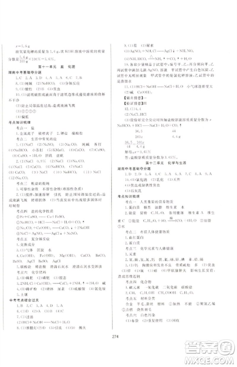 延邊大學出版社2023中考先鋒中考總復習九年級化學通用版參考答案