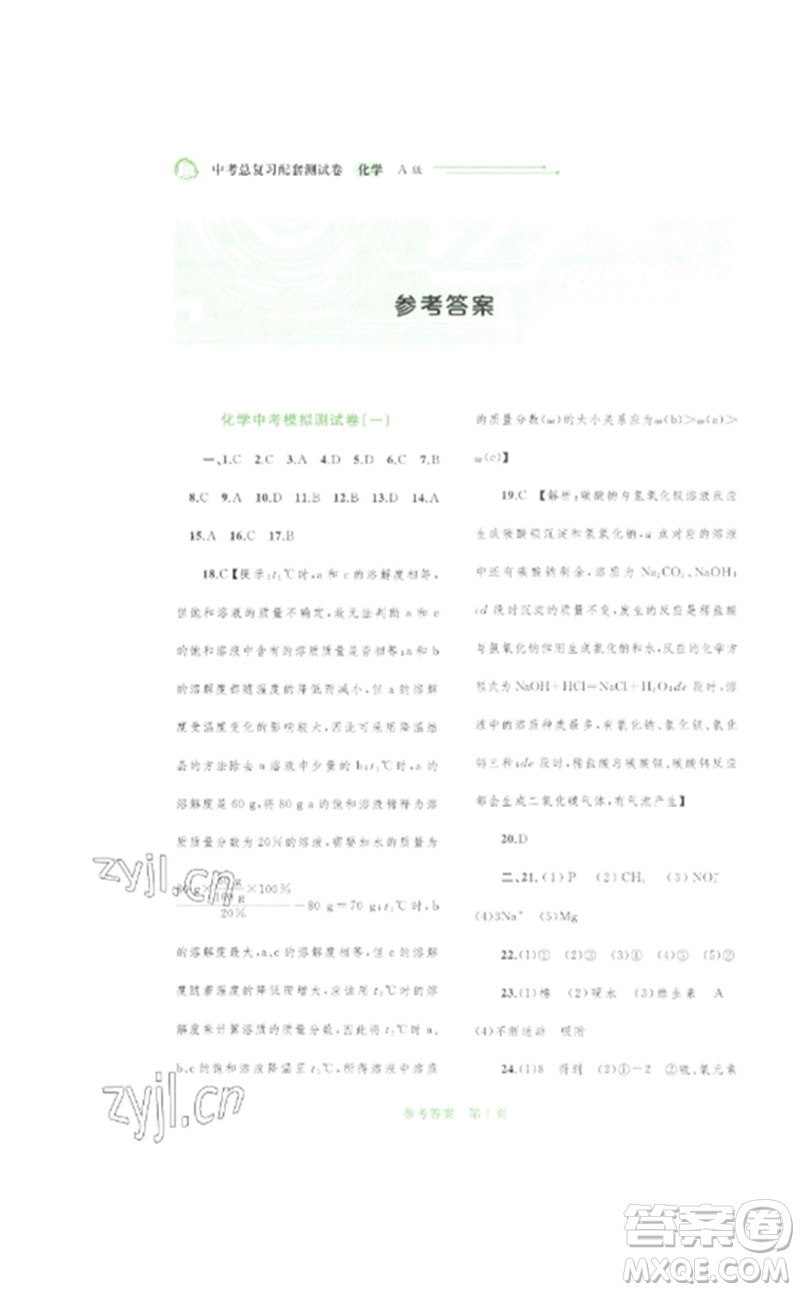 廣西師范大學(xué)出版社2023中考先鋒中考總復(fù)習(xí)配套測(cè)試卷九年級(jí)化學(xué)A版人教版參考答案