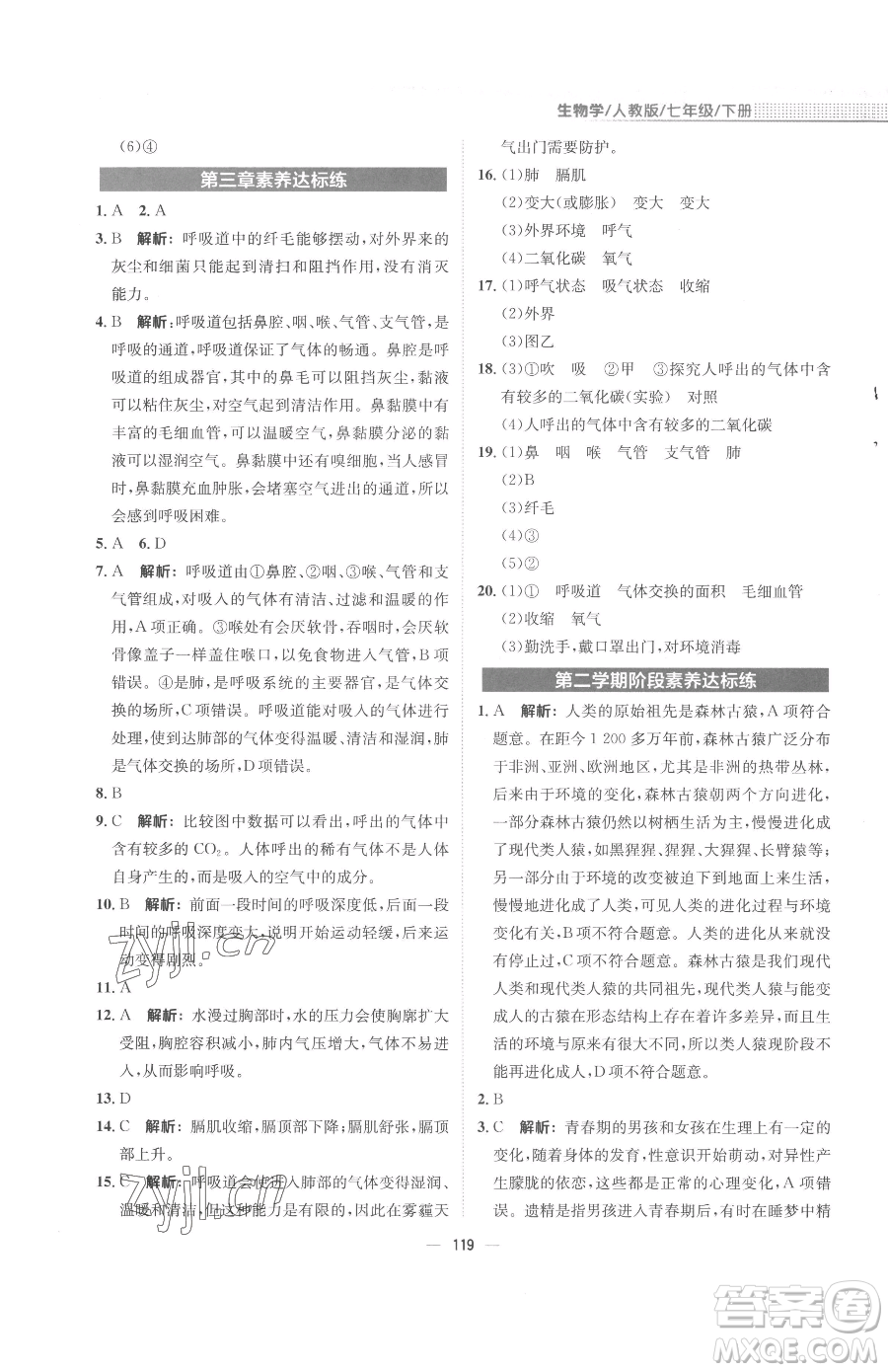 安徽教育出版社2023新編基礎(chǔ)訓(xùn)練七年級(jí)下冊(cè)生物學(xué)人教版參考答案